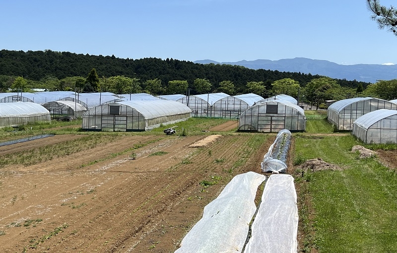 VISIT TO OHITO ORGANIC FARM: A SUSTAINABLE DIRECTION FOR THE FUTURE